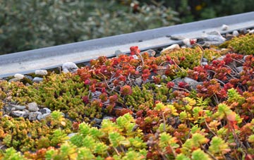 the cost of Argyll And Bute green roof installation