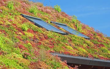 Argyll And Bute living roof systems