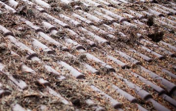 Argyll And Bute roof cleaning companies