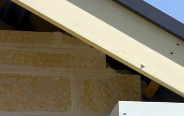 soffit repair Argyll And Bute