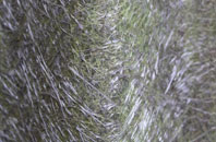 Argyll And Bute fibreglass roof work